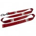 Custom Dog Leads-07